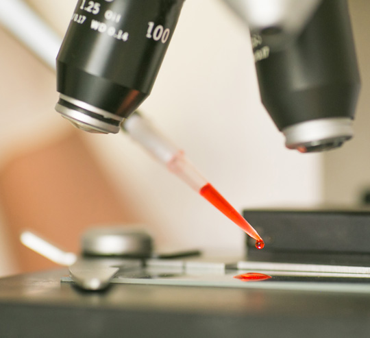 Laboratoire Vermeulen